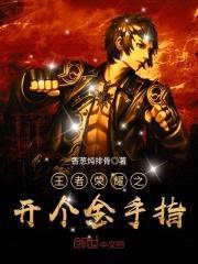 王者荣耀之开个金手指封面