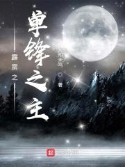 霹雳之枪说异数封面