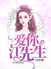 爱你江先生封面