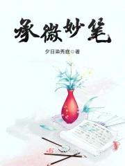 承微妙笔封面