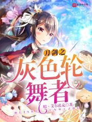 刀剑之灰色轮舞者封面