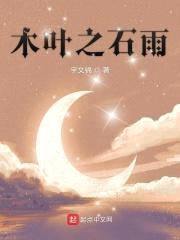 木叶之石雨封面