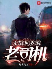 无限世界的老司机封面