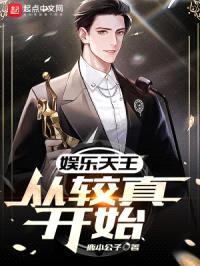 娱乐天王：从较真开始封面