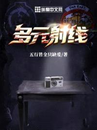 多元射线：第一阶段封面