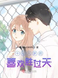 十七八岁的喜欢胜过天封面