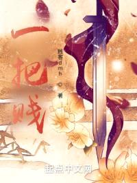 一把贱封面