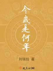 今岁是何年封面